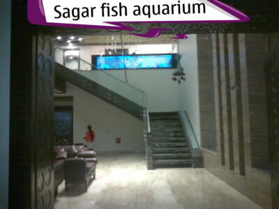 Edited with the Nokia Editor application