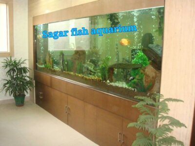 425182_168367623271786_123724894_n-picsay