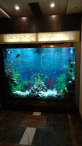 IMG_20160217_171026249