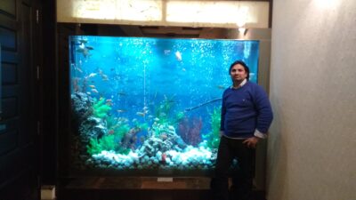 IMG_20160217_171149776