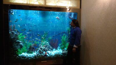 IMG_20160217_171159547