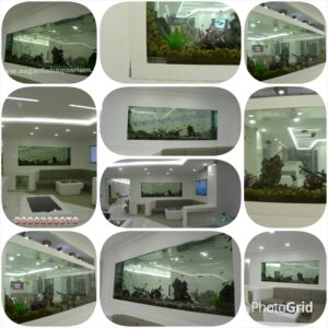 PhotoGrid_1415733158852